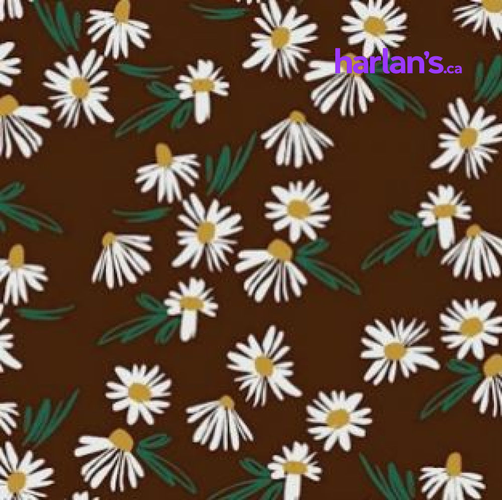 DAISY 4510916 - Harlan Fairbanks Canada