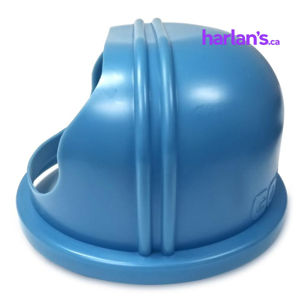 Gold Medal Cotton Candy Blue Double Bubble - Harlan Fairbanks Canada