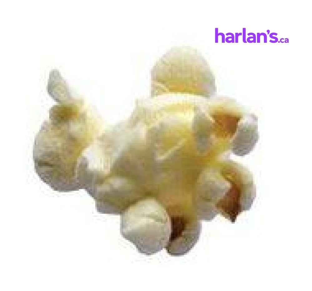 Harlan's Hulless Gourmet Popping Corn Kernels - 50LB Bag -Item#5102