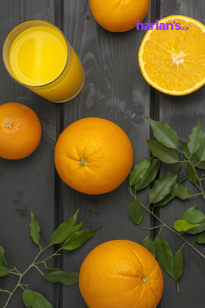 Harlan's Orange Juice - 4:1 mix (3 x 3.78L) -Item#11100 - Harlan Fairbanks Canada