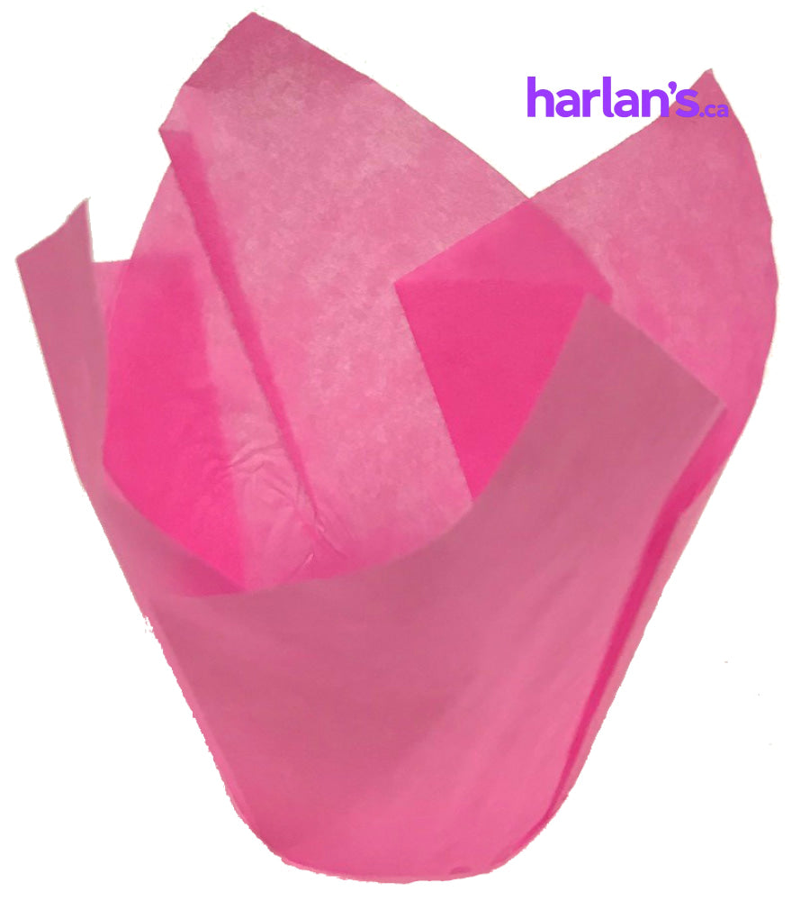 Tulip Baking Cups - Pink (6x7cm) 4588544S - Harlan Fairbanks Canada