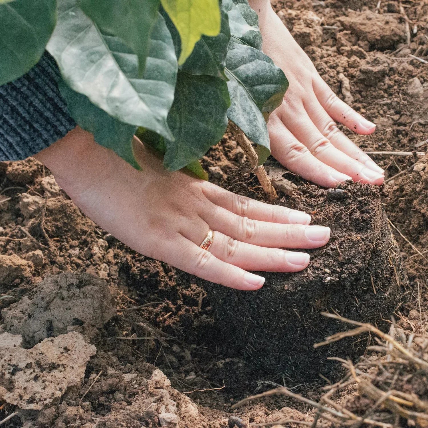 Eco friendly products - Harlan Fairbanks Canada