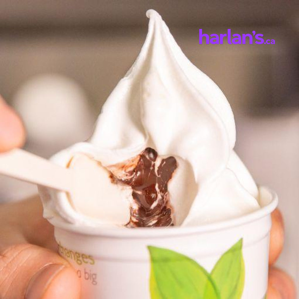 Carpigiani - Single Flavour Soft Serve Top Unit - 48191PA - Not For Online Sale - Contact us for Quote - Harlan Fairbanks Canada