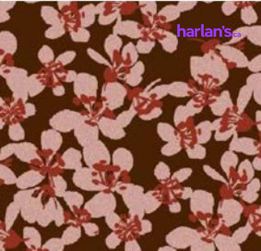 CHERRY BLOSSOM  45017398 - Harlan Fairbanks Canada