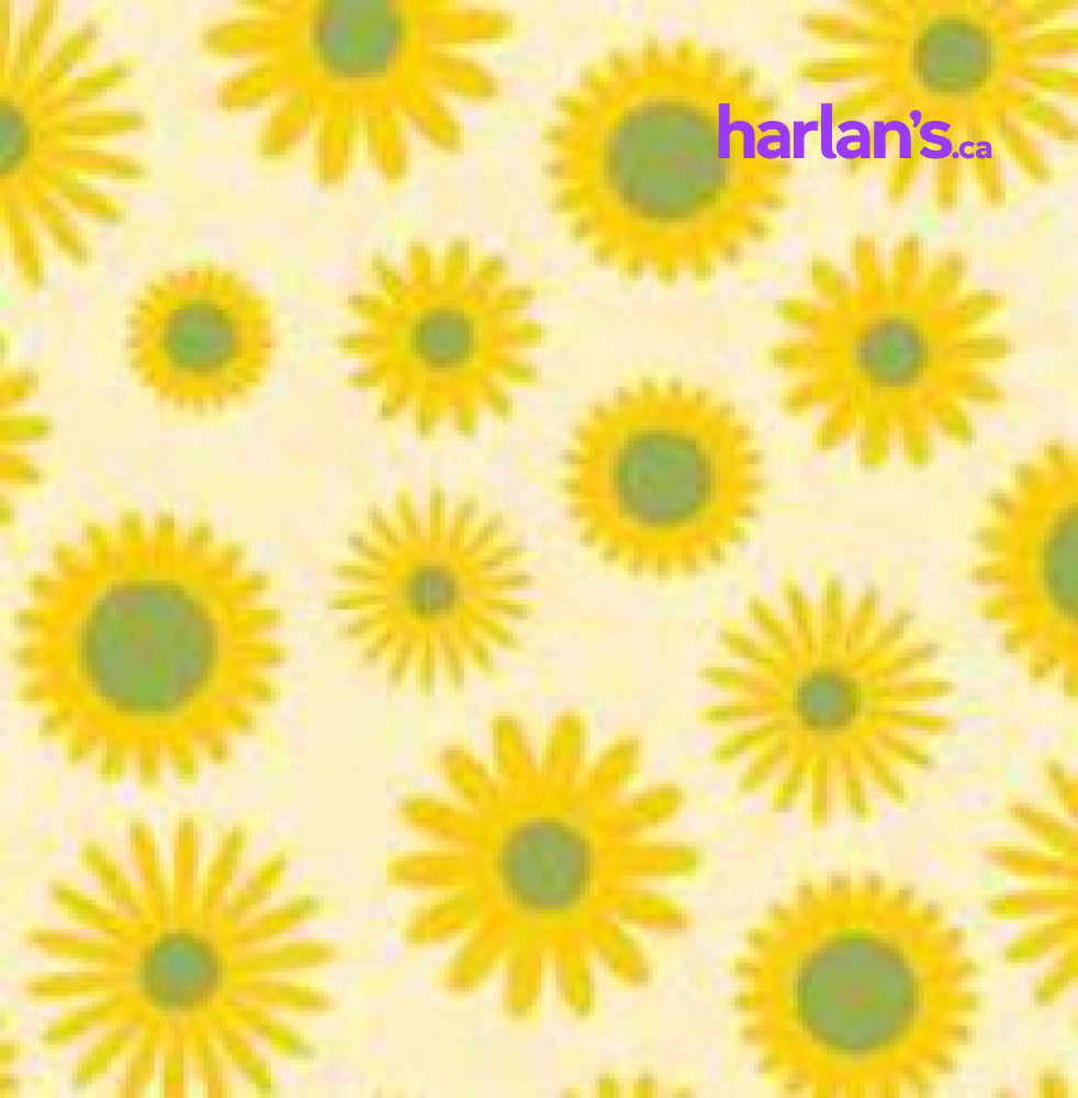 DAISIES  4510916 - Harlan Fairbanks Canada