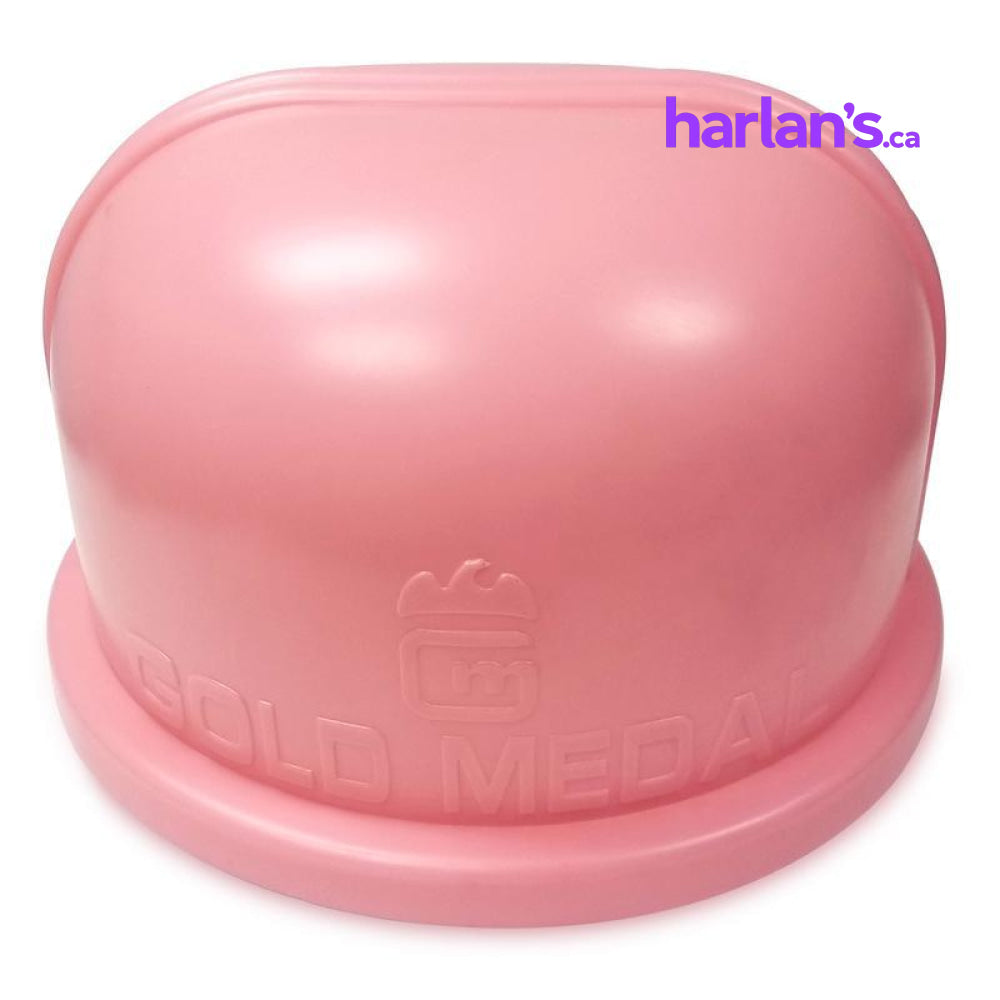 Gold Medal Cotton Candy Pink Double Bubble - Harlan Fairbanks Canada