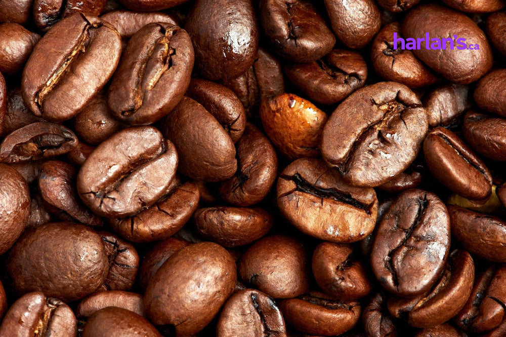 Market Roast Whole Bean Coffee - 4 x 6lb -Item#20256 - Harlan Fairbanks Canada