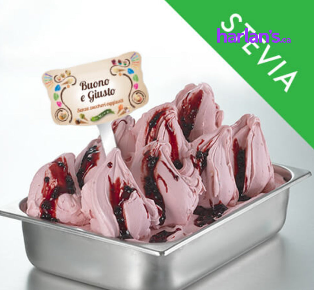 MEC3 Sorbetto Base “G” Fruit (sweetened w/Stevia)Vegan - Harlan Fairbanks Canada