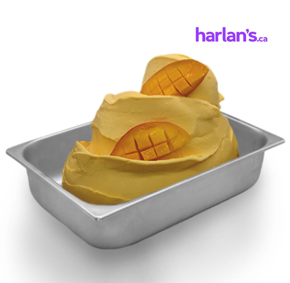 MEC3 Sorbetto Mix, Mango 500 (w/pieces) - Vegan - Harlan Fairbanks Canada