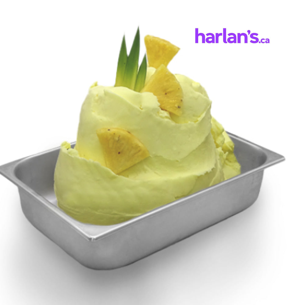 MEC3 Sorbetto Mix Pineapple/Ananas 500 (w/pieces)-Vegan - Harlan Fairbanks Canada