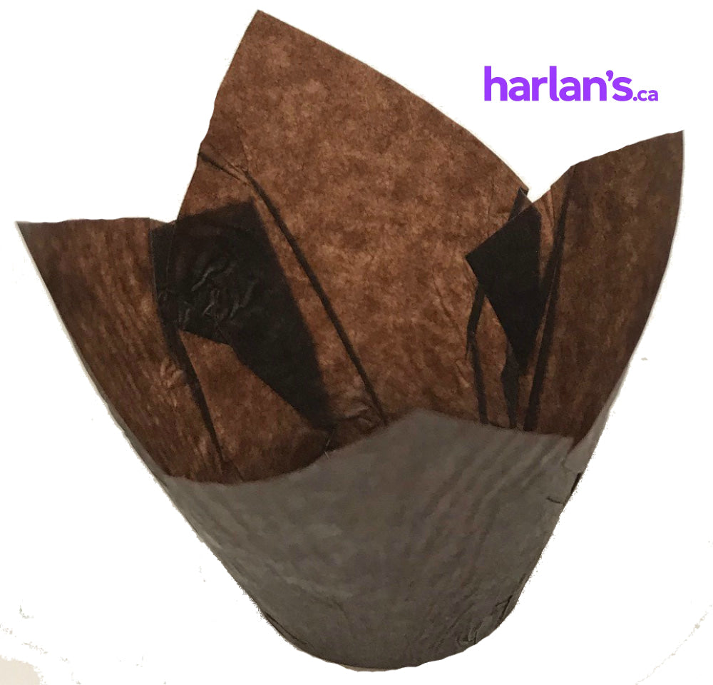 Mini Tulip Baking Cups - Brown (4x5cm) 4588540 - Harlan Fairbanks Canada