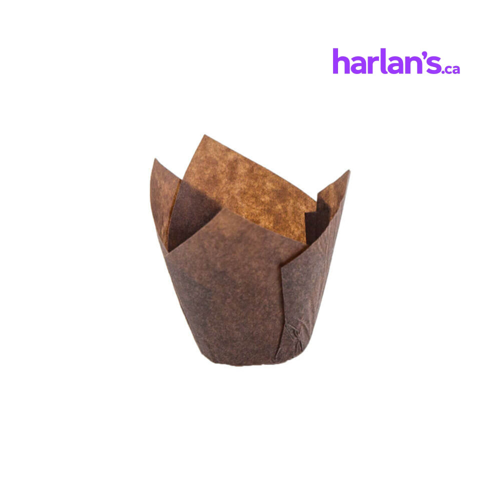 Tulip Baking Cups - Brown (6x7cm) 4588542 - Harlan Fairbanks Canada