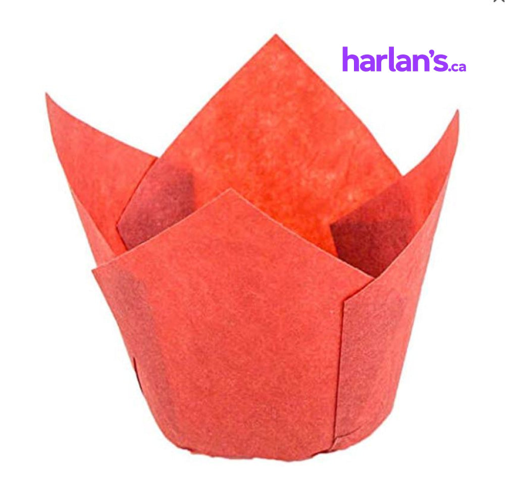 Tulip Baking Cups - Red (6x7cm) 4588543 - Harlan Fairbanks Canada