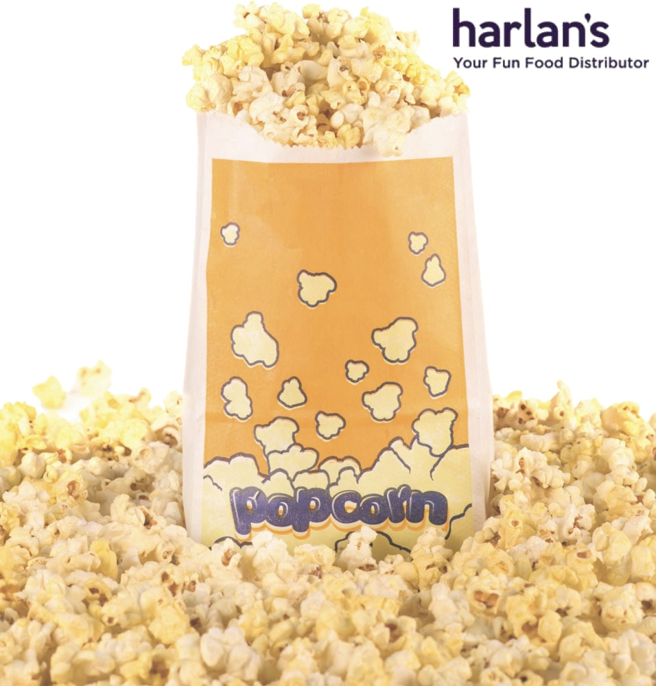 Flat Bottom Printed Popcorn Bag - Large - 500/case-